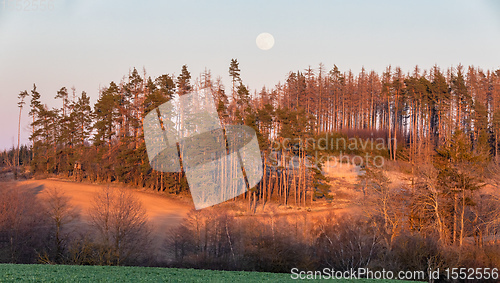 Image of Wooden Hunters High Seat, hunting tower