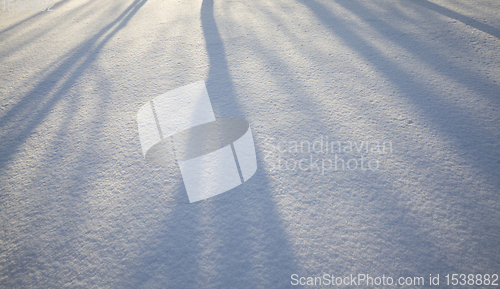 Image of shadows on snow