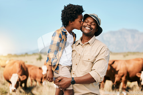 Image of Farm, cows and child kiss father in countryside for ecology, adventure and agriculture. Family, sustainable farming and African dad happy with boy embrace for bonding, relax and learning with animals