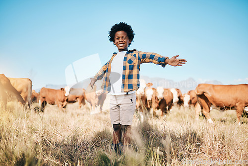 Image of Farm, cows and portrait of child with open arms for ecology, adventure or agriculture in field. Countryside, sustainable farming and happy African kid smile for freedom, relax or learning with cattle