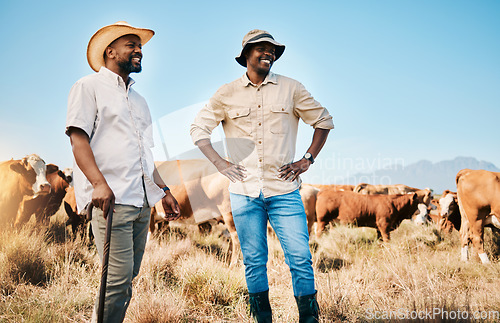 Image of Farming people, talking or men with sales negotiation, cow farm and countryside with dairy agriculture environment. Happy, cattle farmers or guys with sustainability beef production, smile or ecology