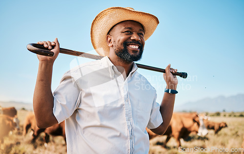 Image of Cows, thinking or happy black man on farm agriculture for livestock, sustainability and agro business in countryside. Smile, dairy production or farmer farming a cattle herd or animals on grass field