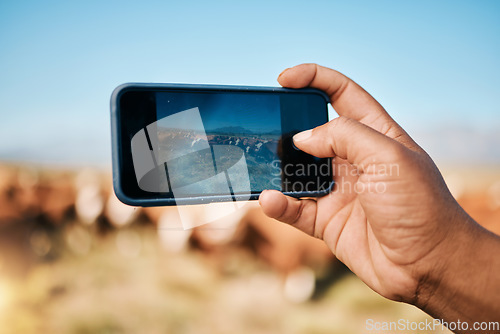 Image of Person, hands and phone in photography, farming or animals for sustainability or natural agriculture. Closeup of farmer taking photo or picture of live stock or herd with mobile smartphone screen