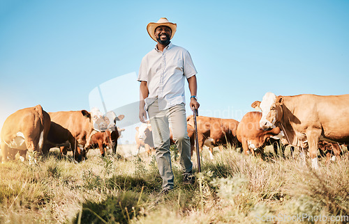 Image of Happy black man, portrait and animals in farming, agriculture or sustainability in the countryside. African male person smile with natural cattle, live stock or cow herd on farm or field at the barn