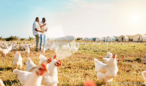 Image of Black people, clipboard and farm with chicken pointing to barn in agriculture together for live stock. Happy men working for farming, sustainability and growth in supply chain in the countryside