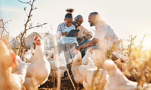 Image of Family, chicken farm support and gay parents in countryside with sustainability, agriculture help and kid. Hug, farming and child together with parent love and support with bird and animal livestock