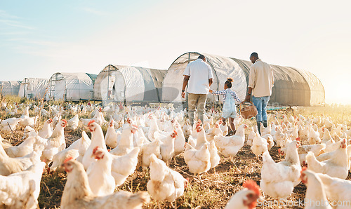 Image of Farm, chicken and gay parents with girl in countryside for holiday, adventure and vacation. Lgbtq family, sustainable farming and back of fathers with child for bonding, relax and fun with animals