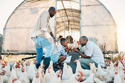 Image of Farm, chicken and lgbtq parents with girl with egg in countryside for learning, agriculture and vacation. Family, sustainable farming and gay fathers with kid for bonding, relax and fun with animals