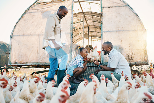 Image of Black family, chicken farm and excited in countryside with sustainability, agriculture help and kid. Gay parents, farming and child together with parent love and support with rooster and animal stock