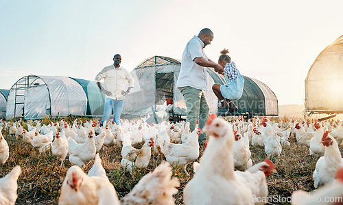 Image of Chicken, farming and family swing with birds outdoor for sustainability and fun with kid. Dad, child and working together on farm field and countryside with support and care for animal livestock