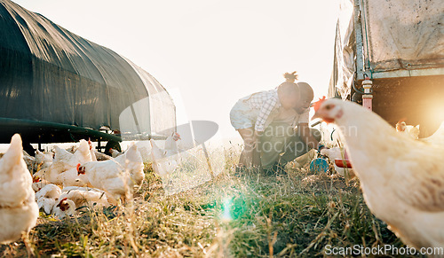 Image of Chicken coop, farming and family with birds check outdoor for sustainability and agriculture. Dad, child and working together on farm field and countryside with support and care for animal livestock