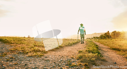 Image of Sun flare, farm and man with agriculture, countryside and walking with grass field, nature and fresh air. Person, farmer and guy with growth, industry and landscape with sustainability or environment