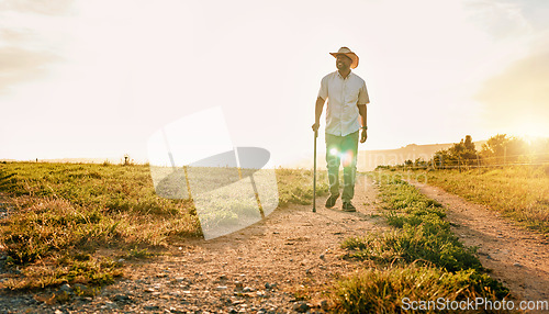 Image of Environment, nature and relax with man on farm for sustainability, agriculture and ecology. Happy, peace and sunset with farmer on countryside field for summer, health and calm with mockup space