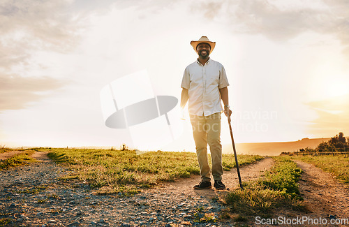 Image of Environment, nature and portrait of man on farm for sustainability, agriculture and ecology. Happy, peace and sunset with farmer on countryside field for summer, health and calm with mockup space