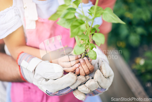 Image of Hands holding plant, gardening or father with daughter for seedling, sustainability or ecology for future. Person, kid and teaching with support, leaves or growth in backyard for healthy environment