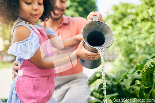 Image of Gardening, father and daughter water plants, teaching and learning with growth in nature together. Backyard, sustainability and dad helping child watering vegetable garden with love, support and fun.