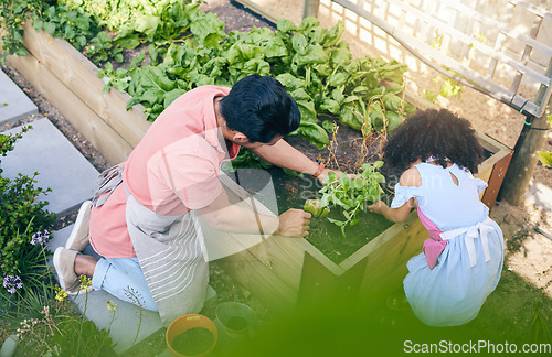 Image of Gardening, sustainability and dad with child from above with plants, teaching and learning with growth and nature. Fun, backyard and father helping daughter, vegetable garden with love and support.