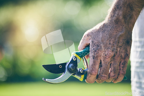 Image of Gardening, shears and hands of man in nature for agriculture, farming and planting flowers. Sustainability, countryside and male person with tools for earth, fertilizer and soil for environment