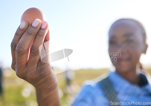 Image of Hand, black woman and egg at farm for inspection, supply chain or quality control in countryside. Poultry farming, free range and farmer with chicken eggs check for organic, trading or agriculture