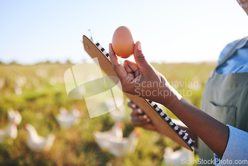 Image of Hand of woman on farm with egg, inspection and chickens, clipboard and sustainable small business farming in Africa. Poultry farmer with checklist, quality control and person in countryside on field.