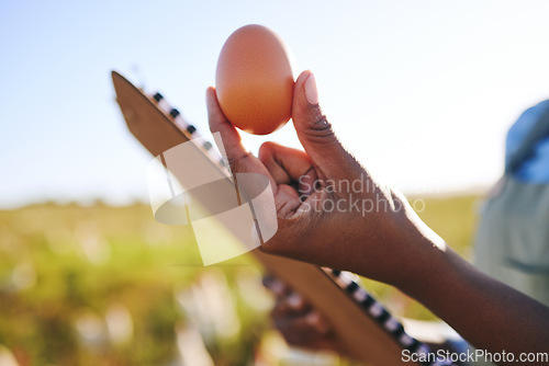 Image of Hand of farmer in field with chickens, clipboard and egg, quality assurance and sustainable small business farming in Africa. Poultry farm inspection, checklist and person in countryside with grass.