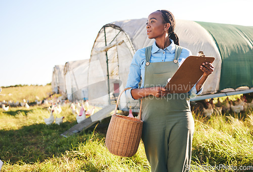 Image of Agriculture, clipboard and black woman at a chicken farm for sustainability management in the countryside. Poultry, farmer and African female with checklist for eco, livestock and field inspection