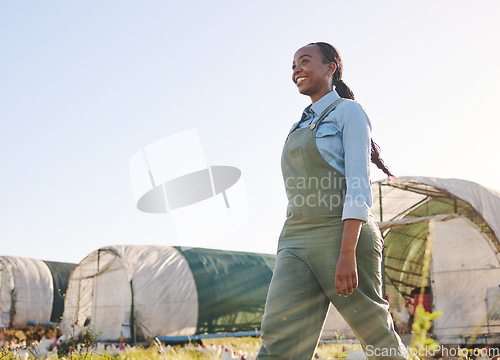 Image of Chicken farm, black woman and agriculture on a eco friendly and sustainable with mockup space. Countryside, field and agro farmer with a smile from farming, animal care work and working in nature