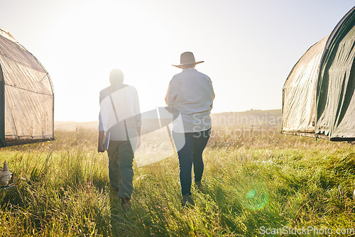 Image of Sustainable farm, women walking and back outdoor with management and farming. Agriculture, people and woman working for small business in countryside with chicken coop and eco friendly field work