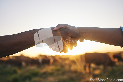 Image of Welcome, handshake and people with b2b farm deal for agriculture, partnership or small business support. Thank you, shaking hands and farming collaboration for supply chain, trust and agro startup