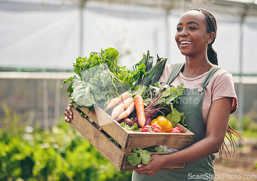 Image of Woman, farming and vegetables in greenhouse for agriculture, supply chain or business with green product in basket. Happy African farmer or supplier with gardening for NGO, nonprofit or food security