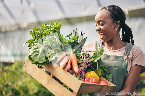 Image of Woman, happy farmer and vegetables in greenhouse for agriculture, business growth and product in box. Excited African worker or supplier harvest and gardening with food, carrot and lettuce in basket