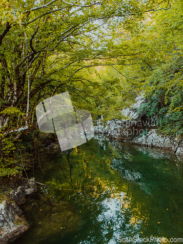 Image of A group of friends enjoying having fun and kayaking while exploring the calm river, surrounding forest and large natural river canyons