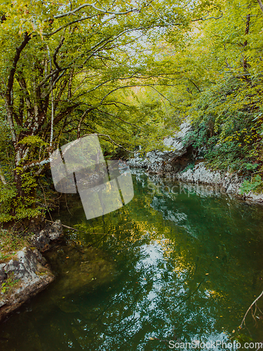 Image of A group of friends enjoying having fun and kayaking while exploring the calm river, surrounding forest and large natural river canyons