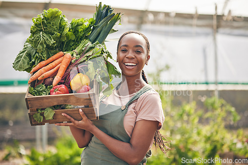 Image of Woman, vegetables box and agriculture, sustainability or farming for supply chain or agro business. African farmer in portrait with harvest and gardening for NGO, nonprofit food or groceries basket