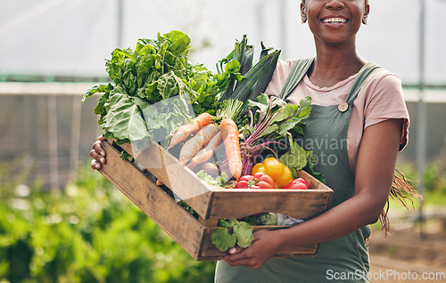 Image of Woman, agriculture and vegetables in greenhouse for farming, supply chain or agro business with product box. Happy farmer or supplier with harvest and gardening for NGO, nonprofit and food or grocery