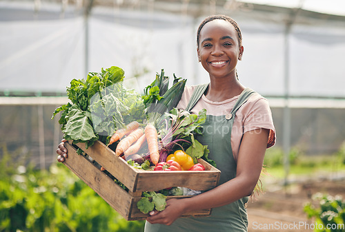 Image of Woman, farmer and vegetables in greenhouse for agriculture, agro business and growth or product in box. Portrait of African worker with harvest, gardening and food, carrot or lettuce in basket