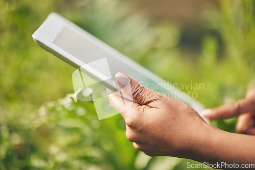 Image of Hands on tablet, research and woman on farm checking internet website for information on plants. Nature, technology and farmer with digital app for sustainability, agriculture and analysis in garden.