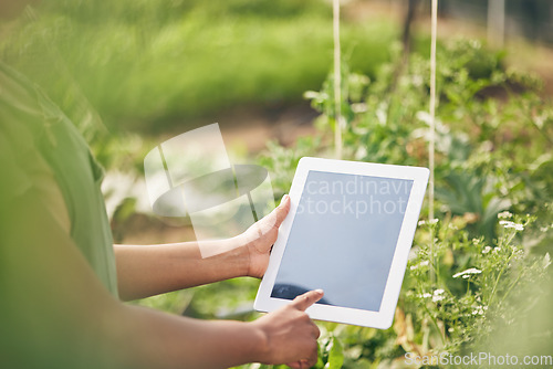 Image of Hands on tablet, screen and woman on farm, research internet website and information on plants. Nature, technology and farmer with digital app for sustainability, agriculture and analysis in garden.