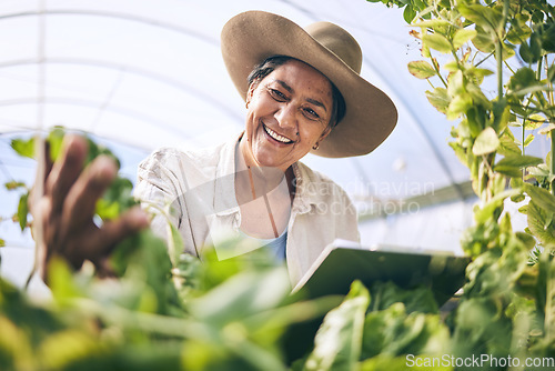 Image of Woman, tablet and greenhouse for plants inspection, agriculture and farming in sustainability and e commerce. Happy farmer on digital technology for gardening, vegetables growth and quality assurance