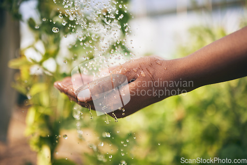 Image of Farming, washing hands and water drop in closeup, outdoor and growth with hygiene at agro job. Person, cleaning and shower open palm for agriculture, dirt or bacteria with sustainability at farm