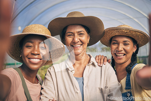 Image of Greenhouse, smile and selfie of group of women in farming, sustainable small business and agriculture. Portrait of happy friends at vegetable farm, diversity and growth in summer with agro farmer.