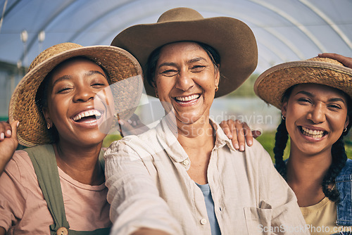 Image of Greenhouse, group and happy selfie of women in farming, sustainable small business and agriculture. Portrait of female friends at vegetable farm, diversity and growth in summer with agro workers.