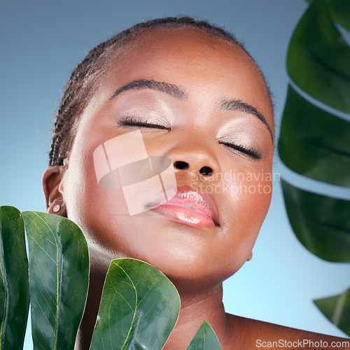 Image of Natural, beauty and face of black woman with leaf, relax skincare glow or sustainable dermatology. Studio, plant and African person with monstera, eco product and eyes closed on blue background