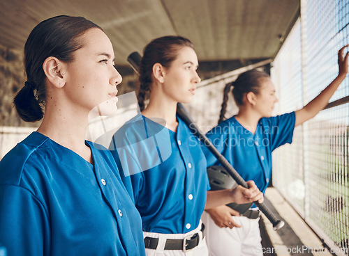 Image of Women, softball and sports, team in dugout and watch game with fitness, mission and confidence at stadium. Athlete group, exercise and trust with support, collaboration and baseball player in club