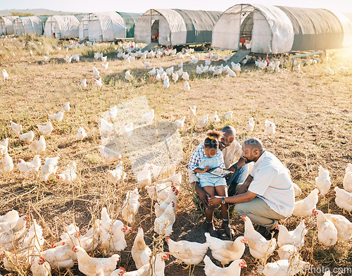 Image of Family, chicken farm and gay people in countryside with sustainability, agriculture help and kid. Gay parents, farming and child together with love and support with bird and animal stock in field