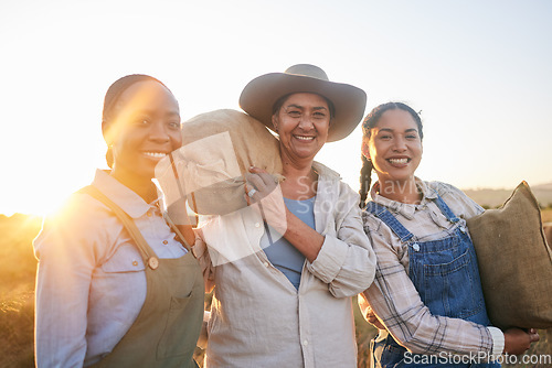 Image of Women, agriculture and group portrait in field, countryside and bag with smile, harvest and farming in summer. Female teamwork, agro job and helping hand in sunset, nature and outdoor in environment