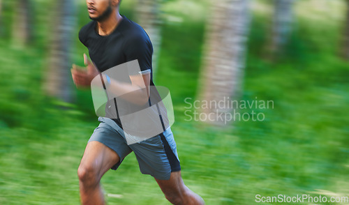 Image of Running, fitness and fast man with blur in forest for marathon training, exercise and cardio workout. Sports, nature and athlete for wellness, healthy body and endurance for race, speed and challenge