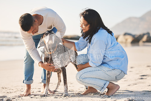 Image of Beach, love and couple with dog by ocean for freedom, adventure and bonding together in nature. Happy pet, petting canine and man and woman by sea for exercise, wellness and training outdoors