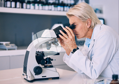 Image of Microscope, research and woman scientist in a lab looking for sample analysis or experiment in laboratory for a medical project. Science, equipment and professional test bacteria or DNA for chemistry