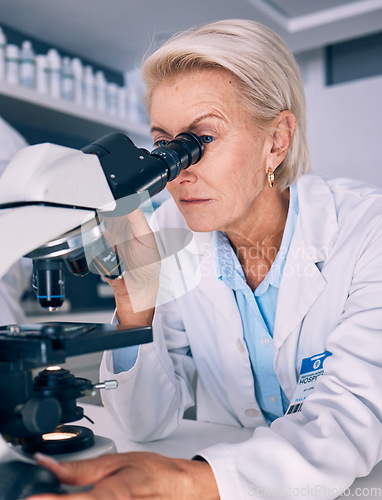 Image of Science woman, microscope analysis and lab for medical research, molecules or particles of bacteria at pharma job. Mature female scientist and vision with study virus for pharmaceutical innovation